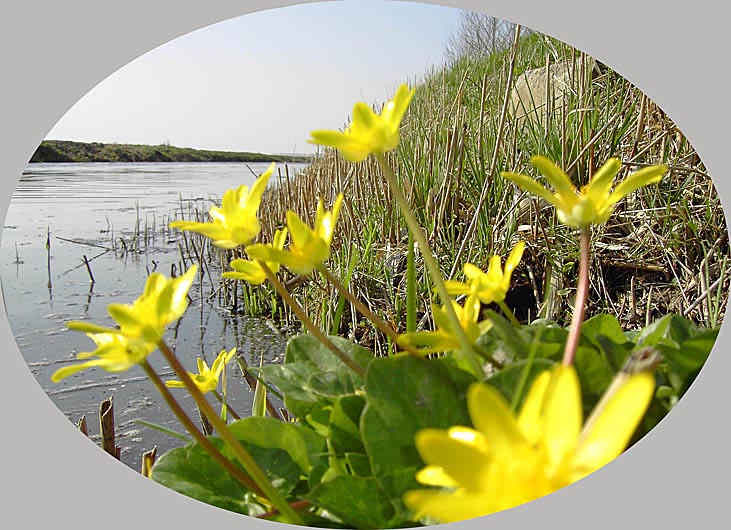 n_polder 0757.jpg